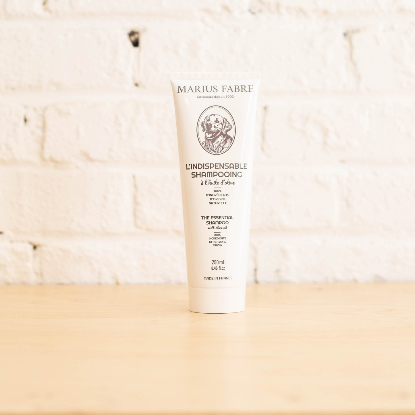 L’indispensable shampooing à l’huile d’olive pour chien