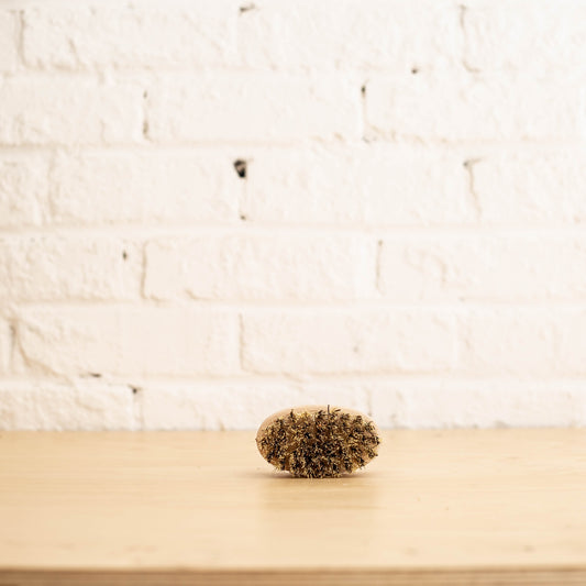 Brosse à fruits de mer