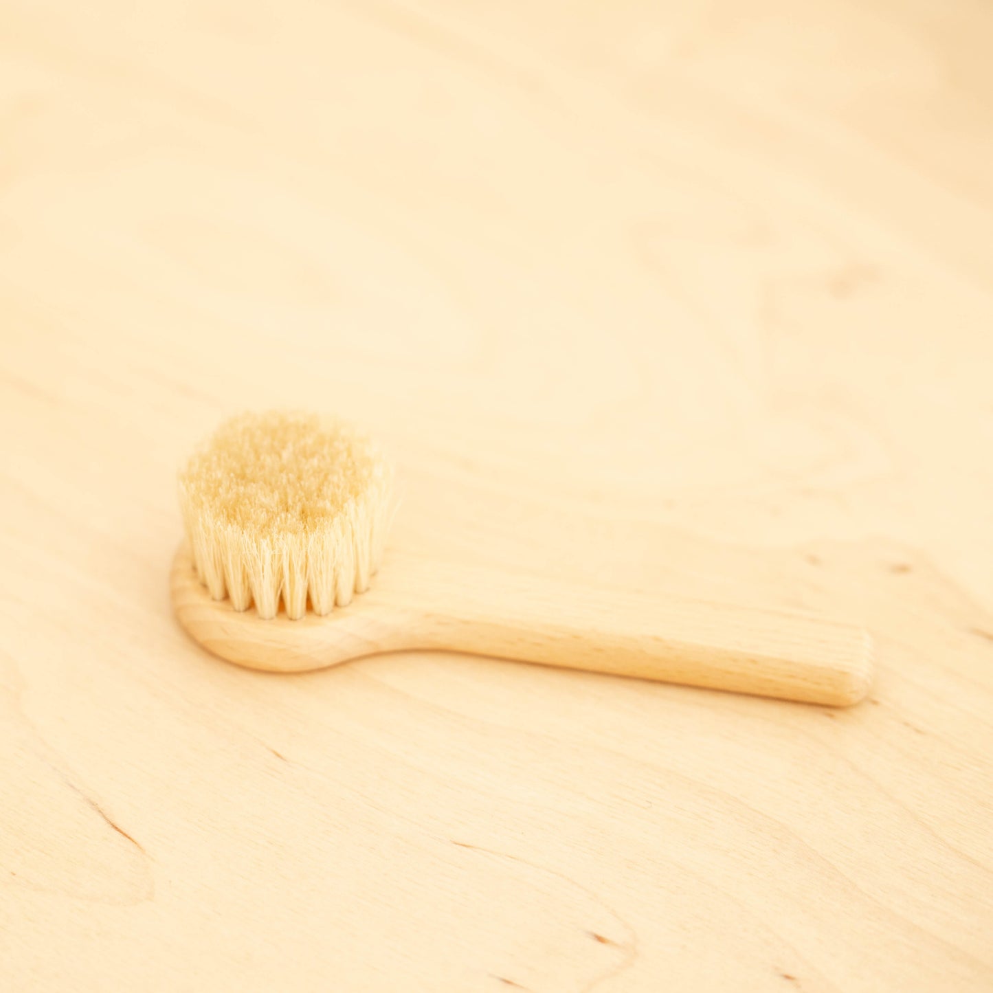 Brosse à champignons avec poignée