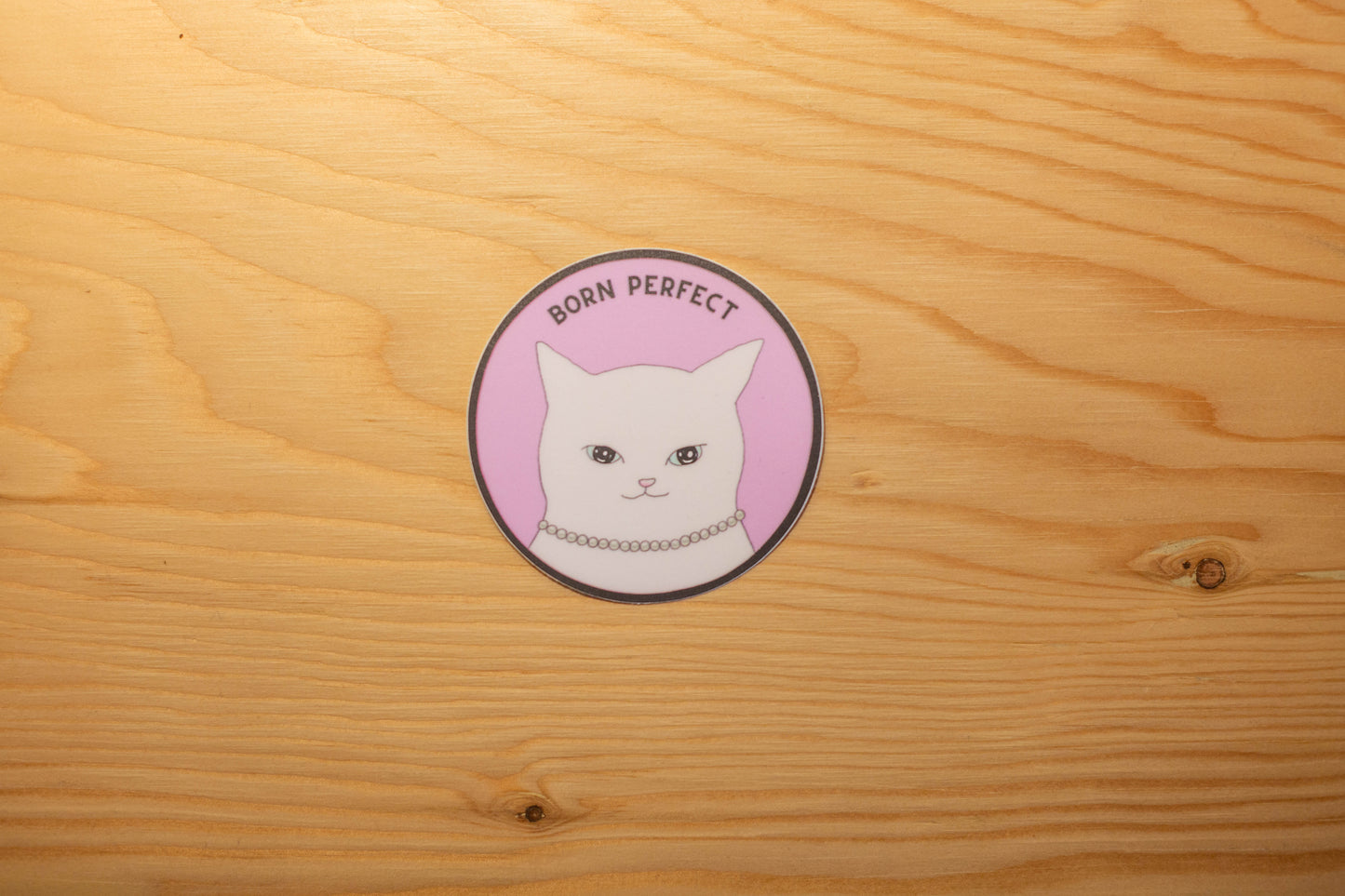 Autocollant chat blanc born perfect