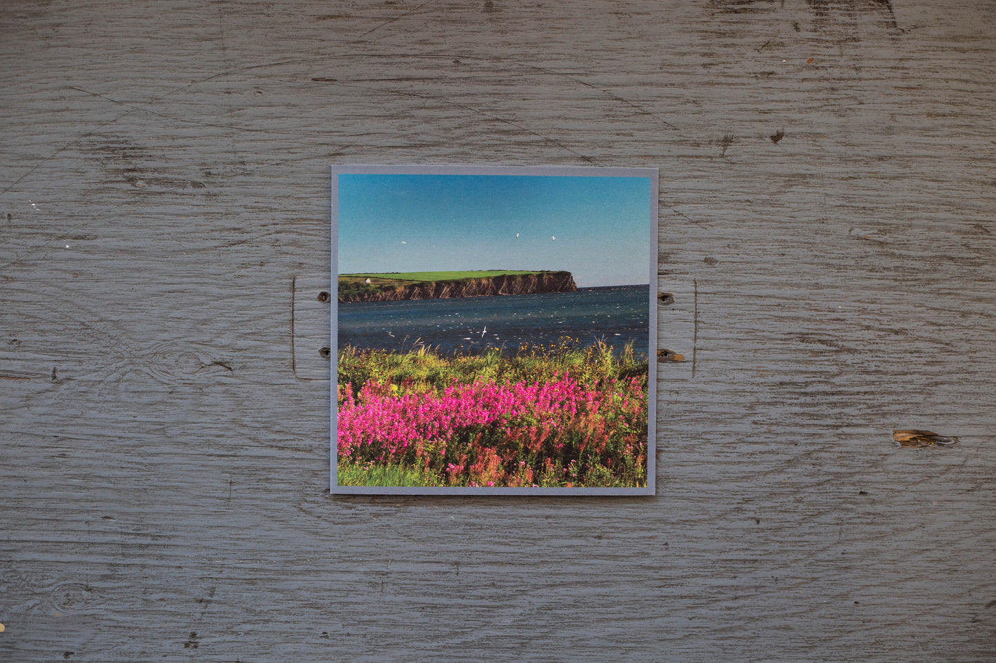 Carte / L’anse au Griffon