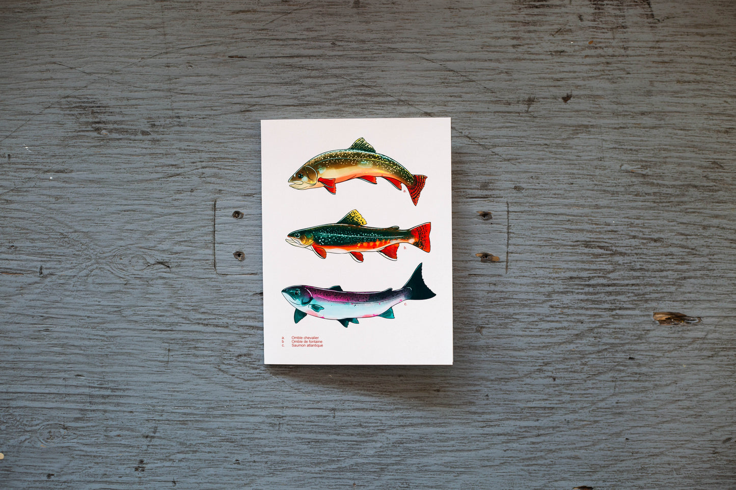 Carte de souhait Les Nuages - Poissons