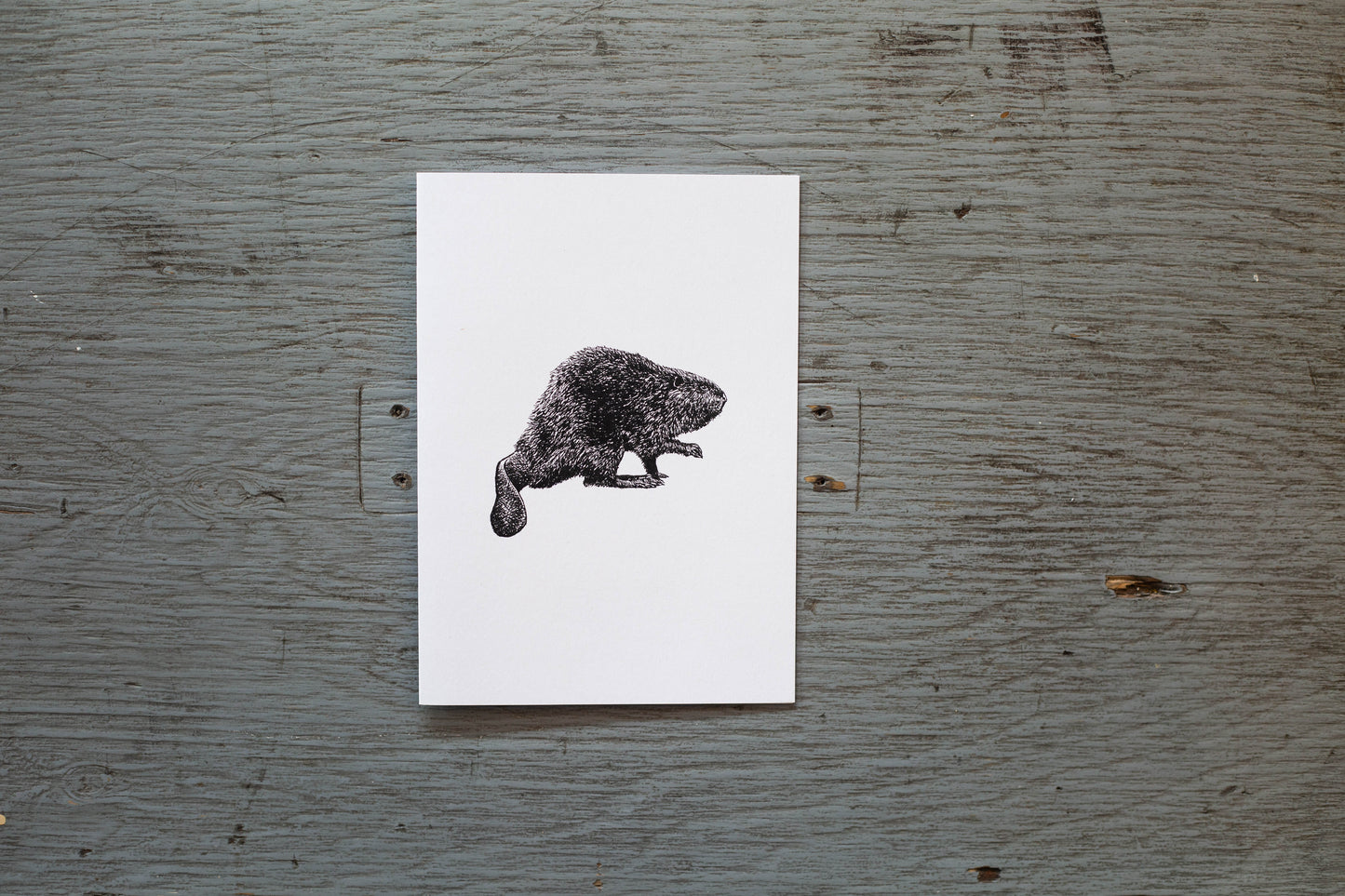 Carte de souhaits Cindy Labrecque - Castor