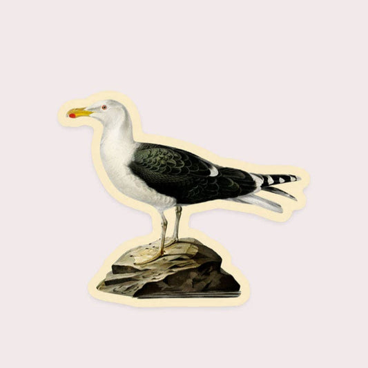 Autocollant Mouette matanaise