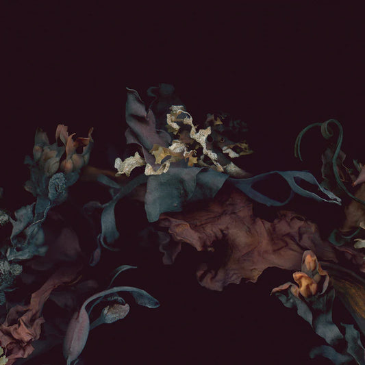 Carte de souhaits Couronne du St-Laurent