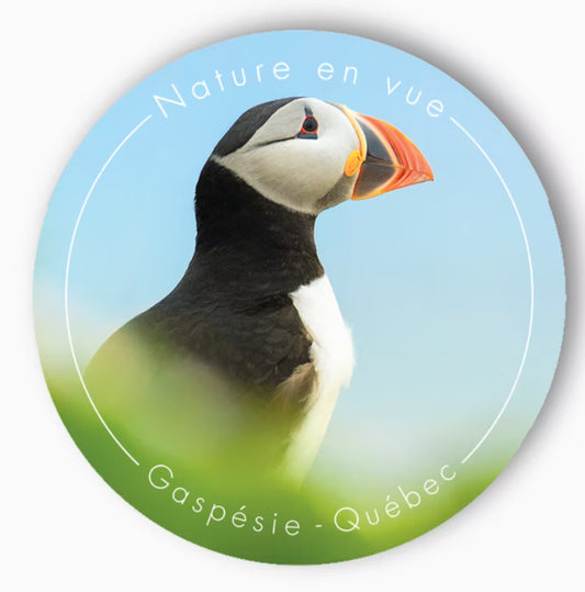 Autocollant macareux