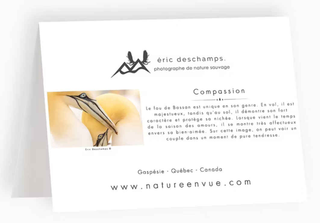 Carte Compassion