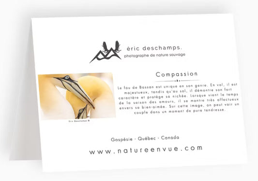 Carte Compassion