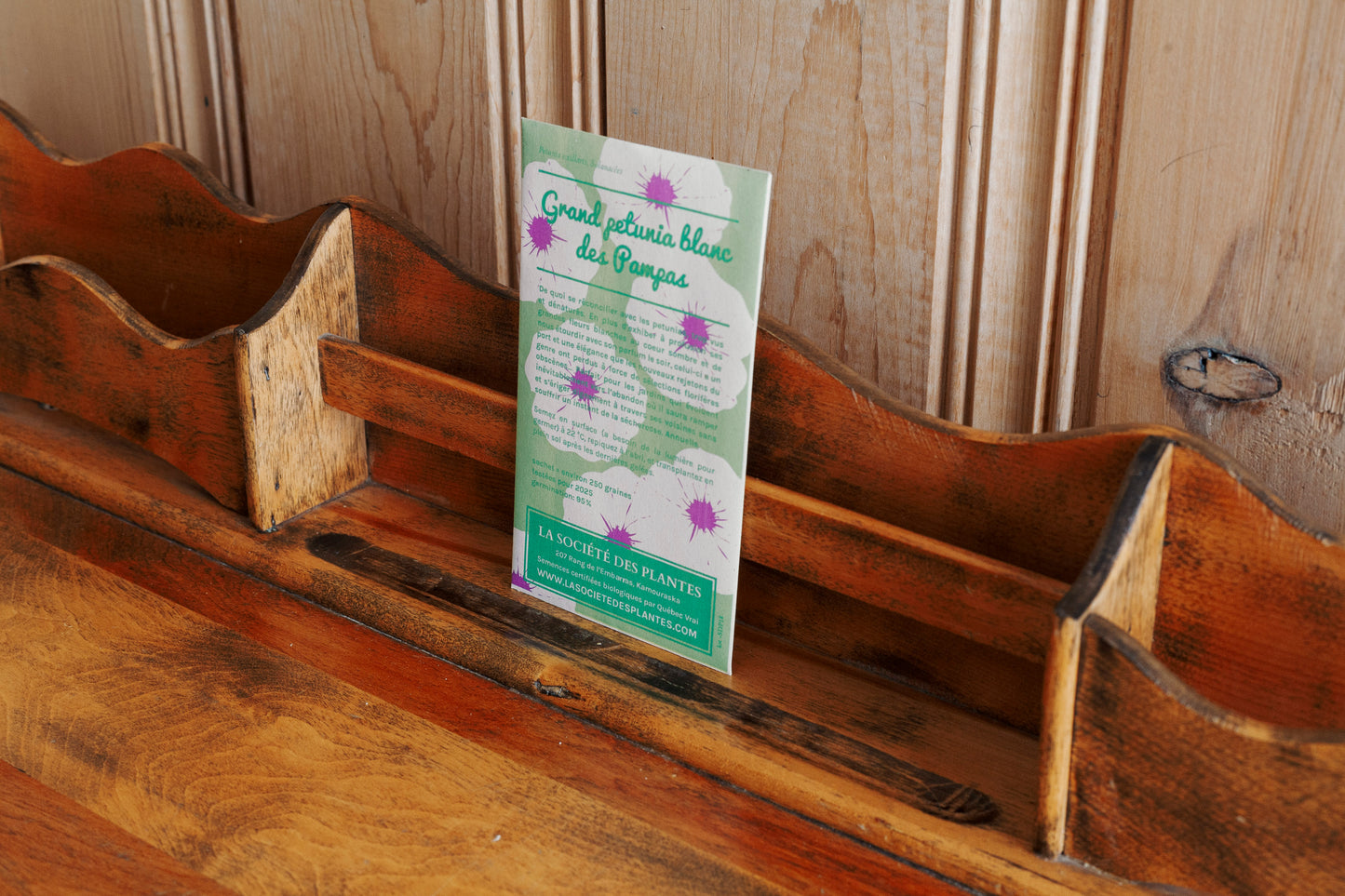 Sachet de Petunia blanc des Pampas bio