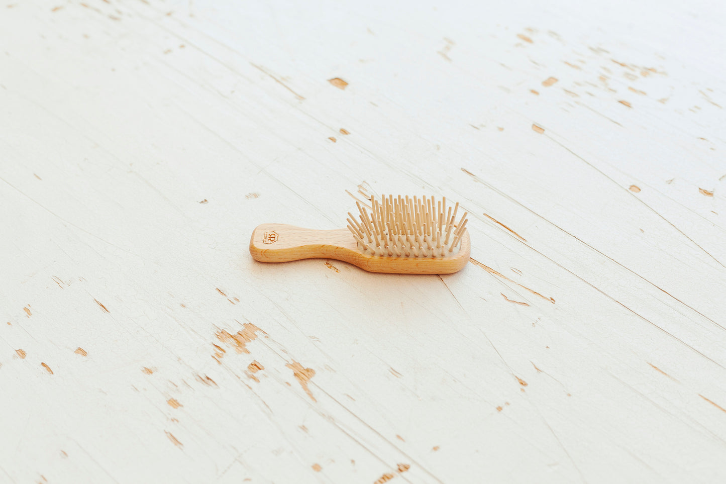 Brosse à cheveux de transport