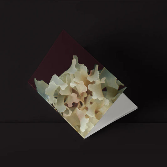 Mini-Carnet Série Mousses d'Irlande No.2 La Blanche Raoul & Simone