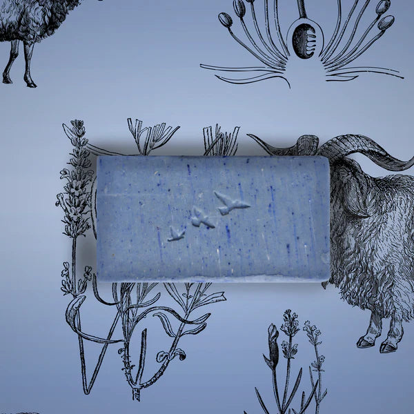 Barre de savon lavande et lait de chèvre