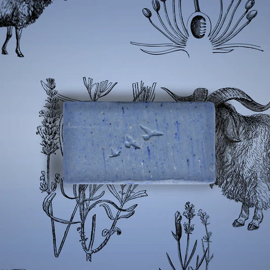 Barre de savon lavande et lait de chèvre