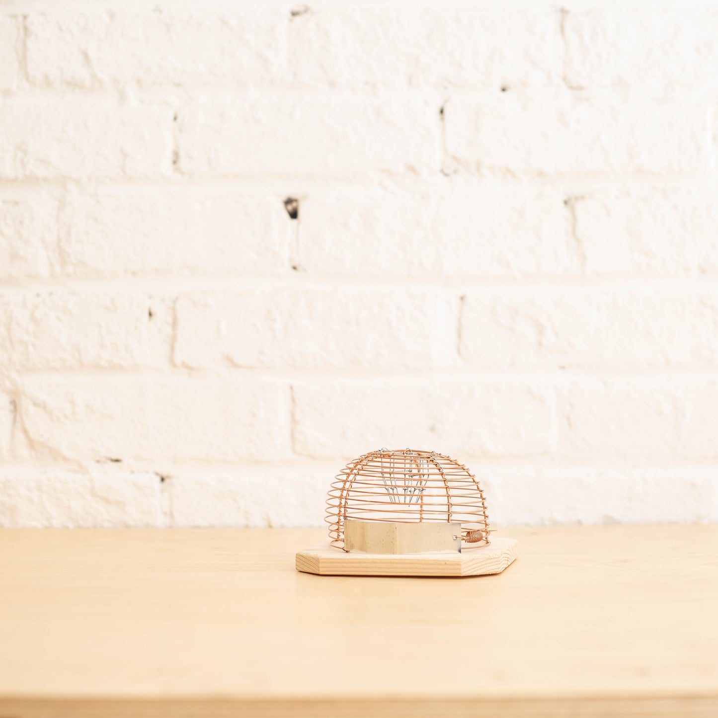 Piège à souris sans cruauté