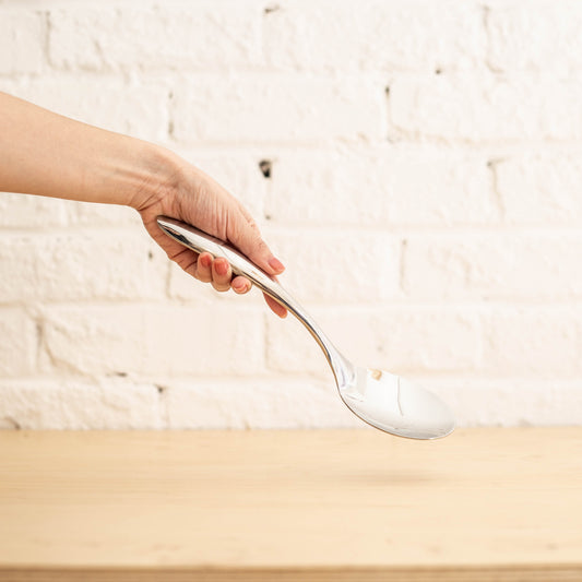 Cuillère de service inox Tempo 10po