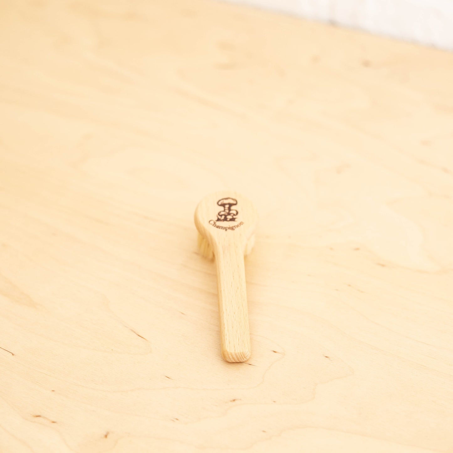 Brosse à champignons avec poignée