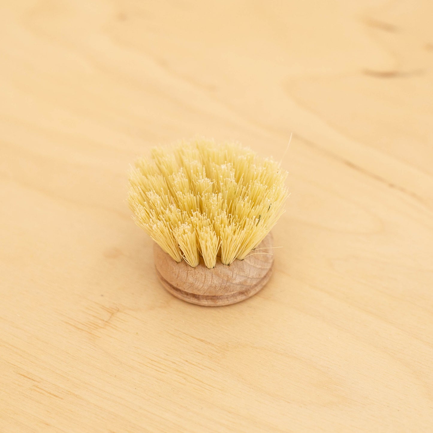 Tête de replacement de brosse à vaisselle 5cm