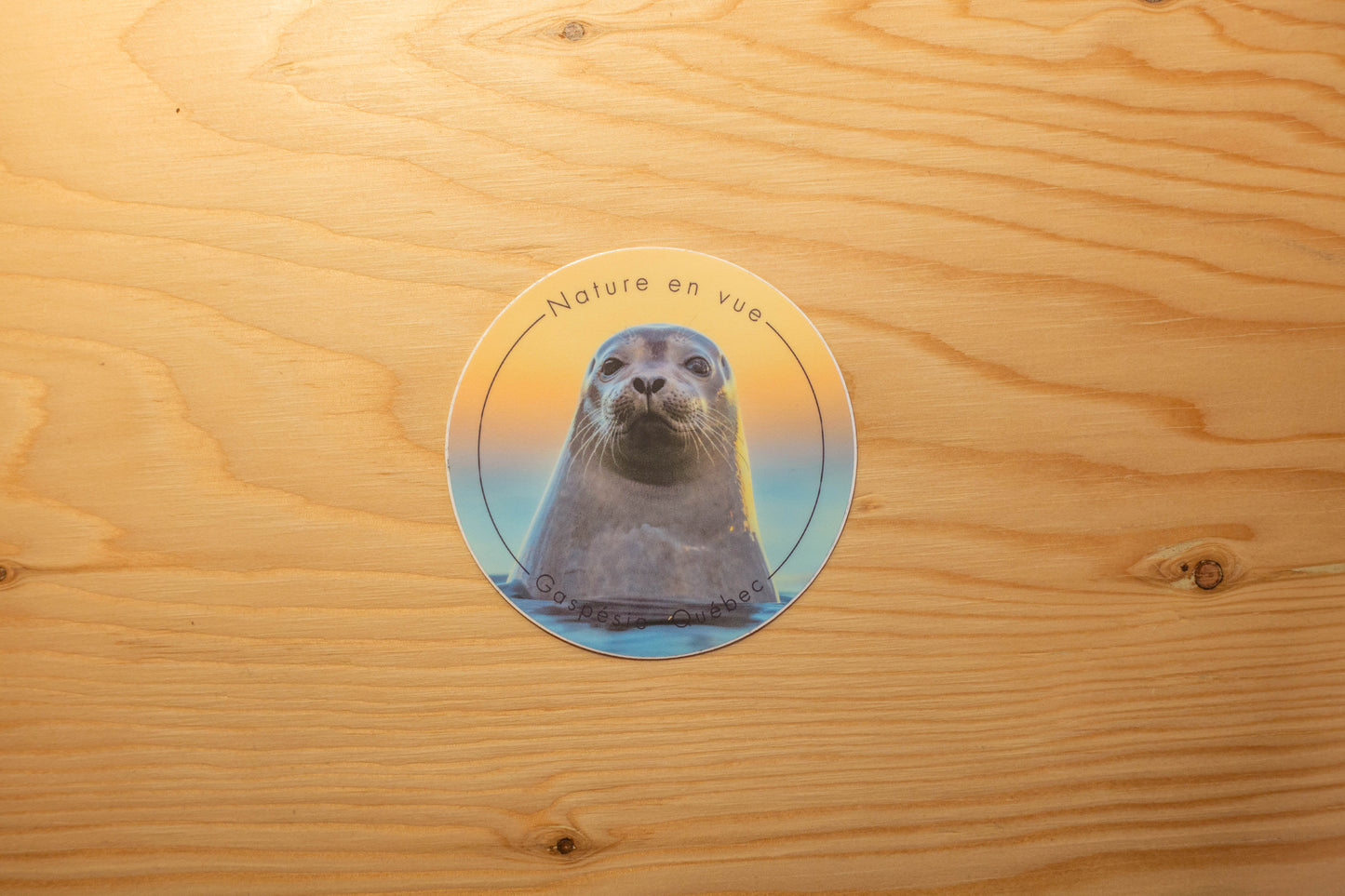 Autocollant phoque