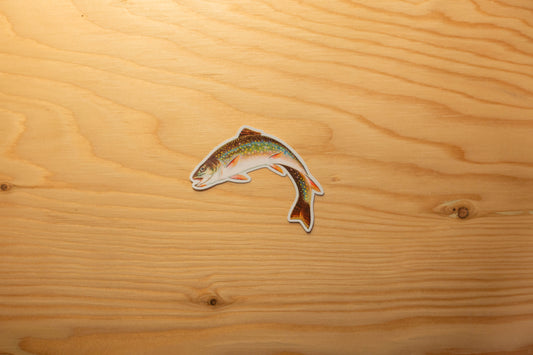 Autocollant Truite arc-en-ciel