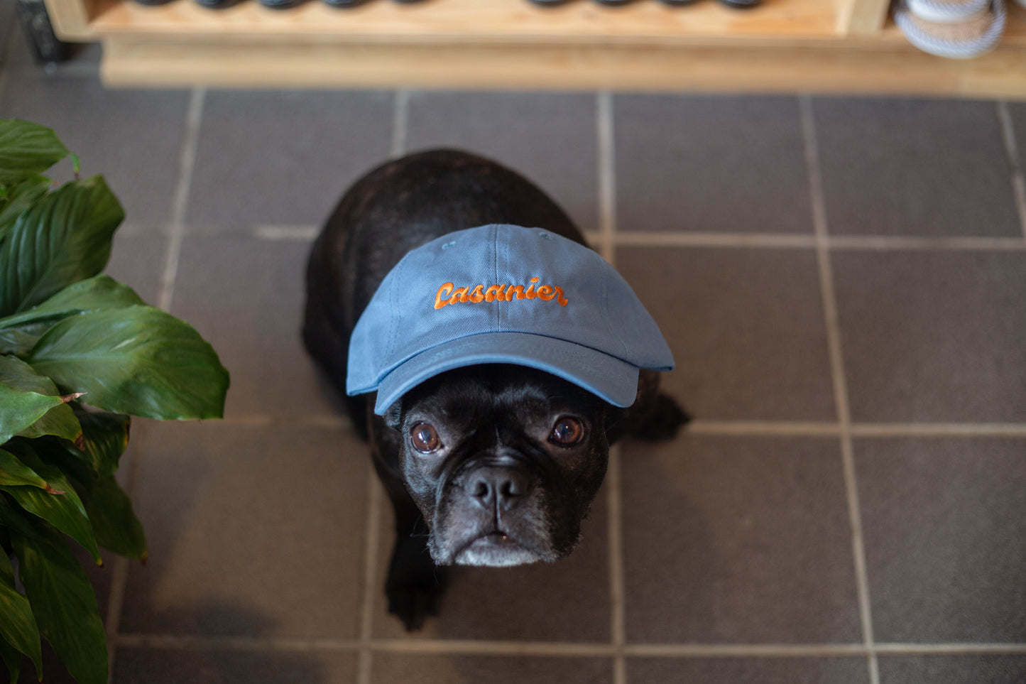 Casquette Casanier Bleu