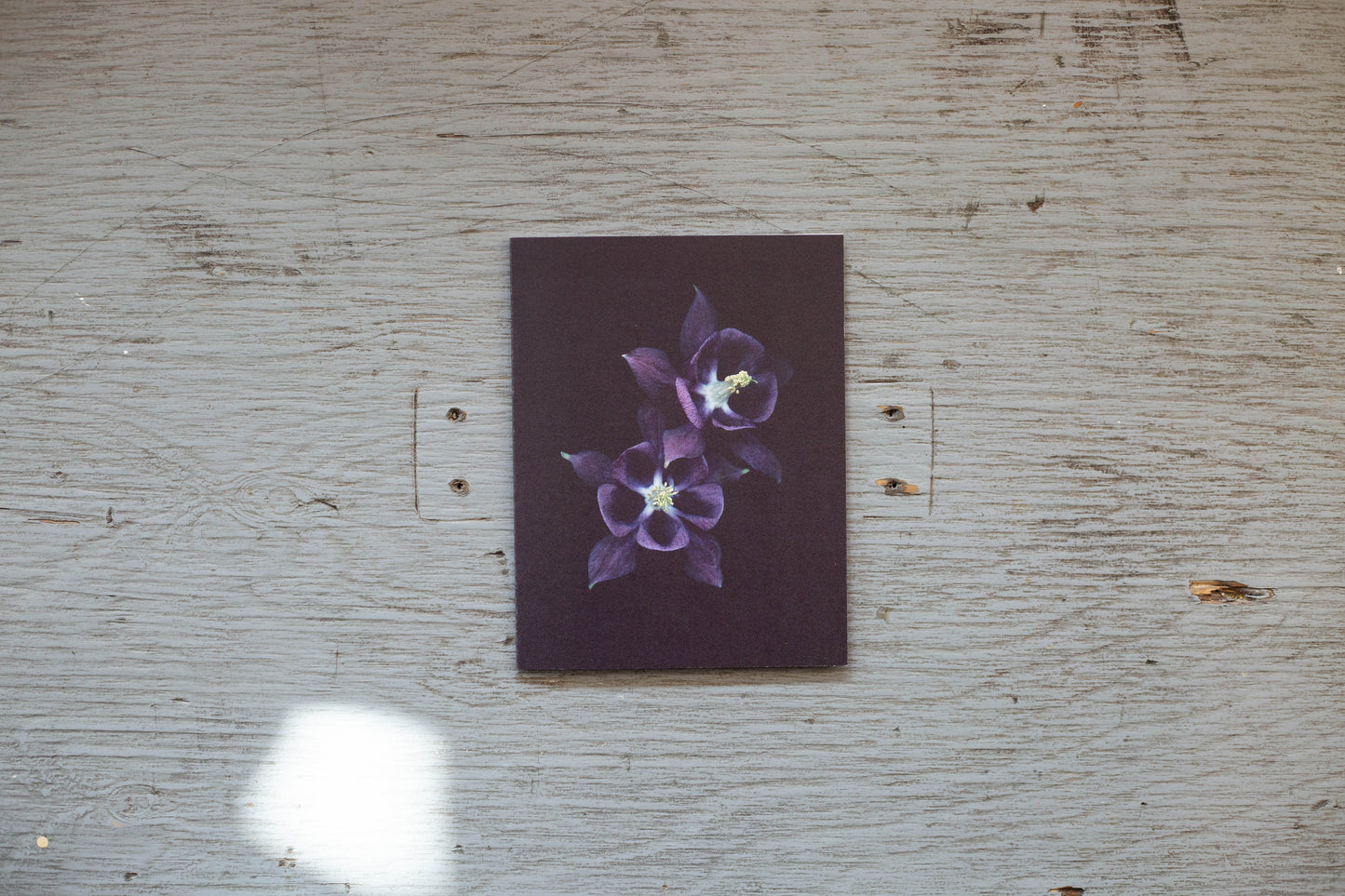 Carte de souhaits Ancolie