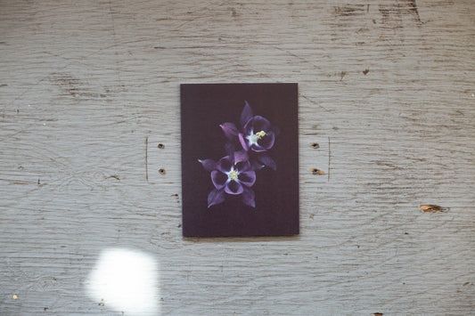 Carte de souhaits Ancolie