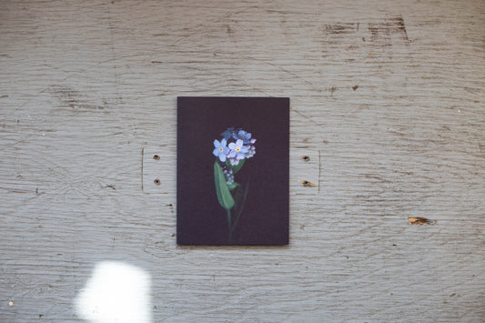 Carte de souhaits Myosotis des forêts