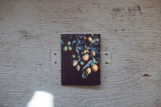 Carte de souhaits Fucus Vesiculosus