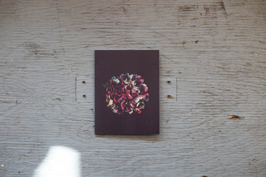 Carte de souhaits Mousse d’Irlande Rouge