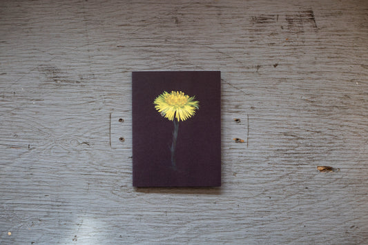 Carte de souhaits / Tussilage