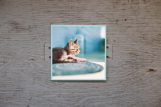 Carte / Petit Minou