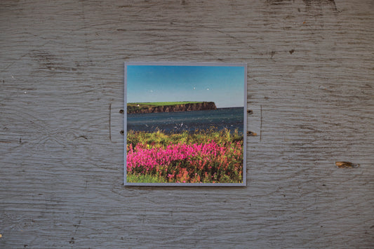 Carte / L’anse au Griffon