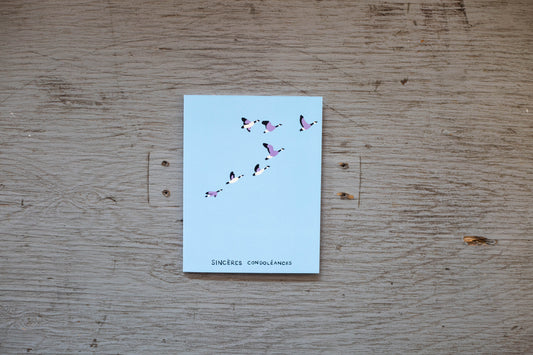 Carte de souhaits Studio Toute - Bernaches Sincères Condoléances