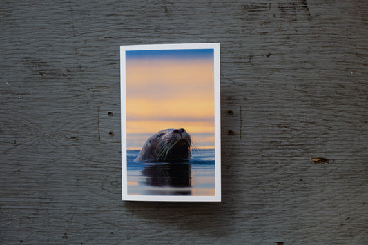 Carte Se Pointer le Bout du Nez