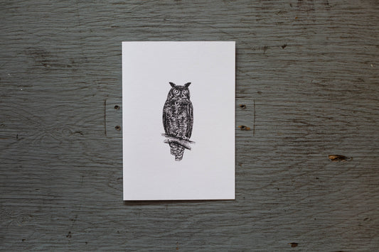 Carte de souhaits Cindy Labrecque - Hibou