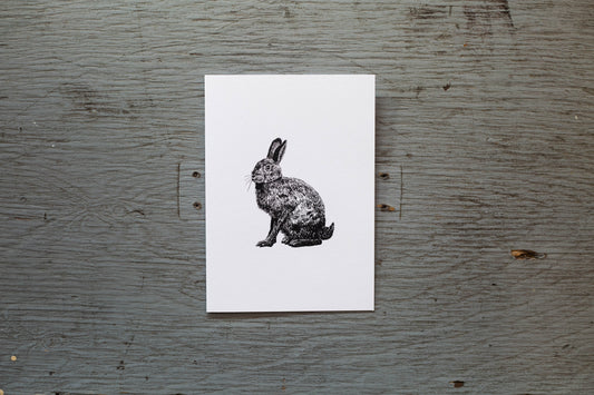 Carte de souhaits Cindy Labrecque - Lièvre