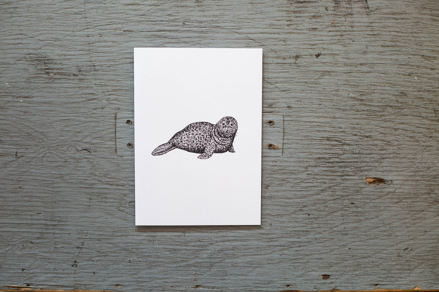 Carte de souhaits Cindy Labrecque - Phoque