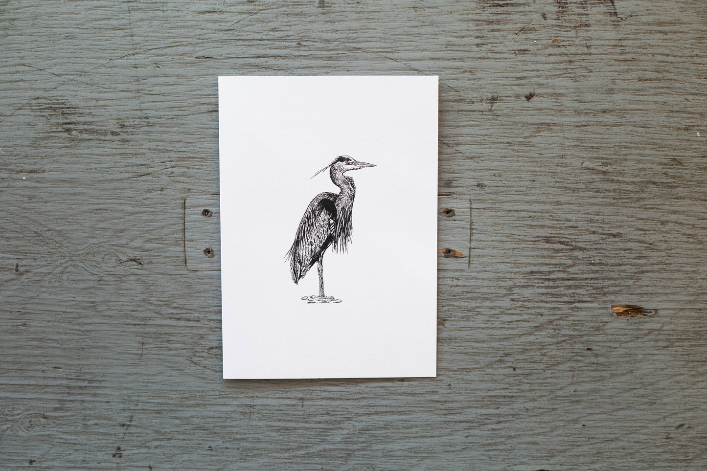 Carte de souhaits Cindy Labrecque - Grand Héron