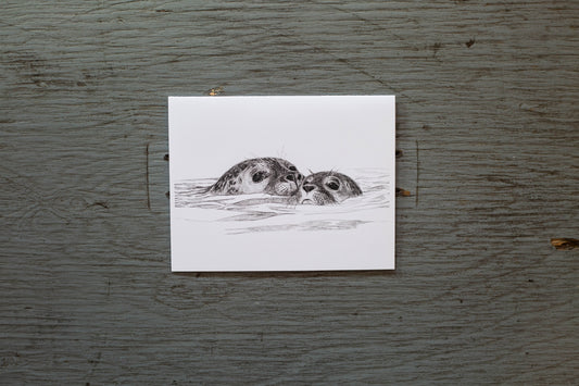 Carte de voeux phoque