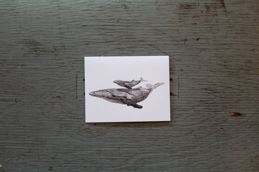 carte de voeux baleine