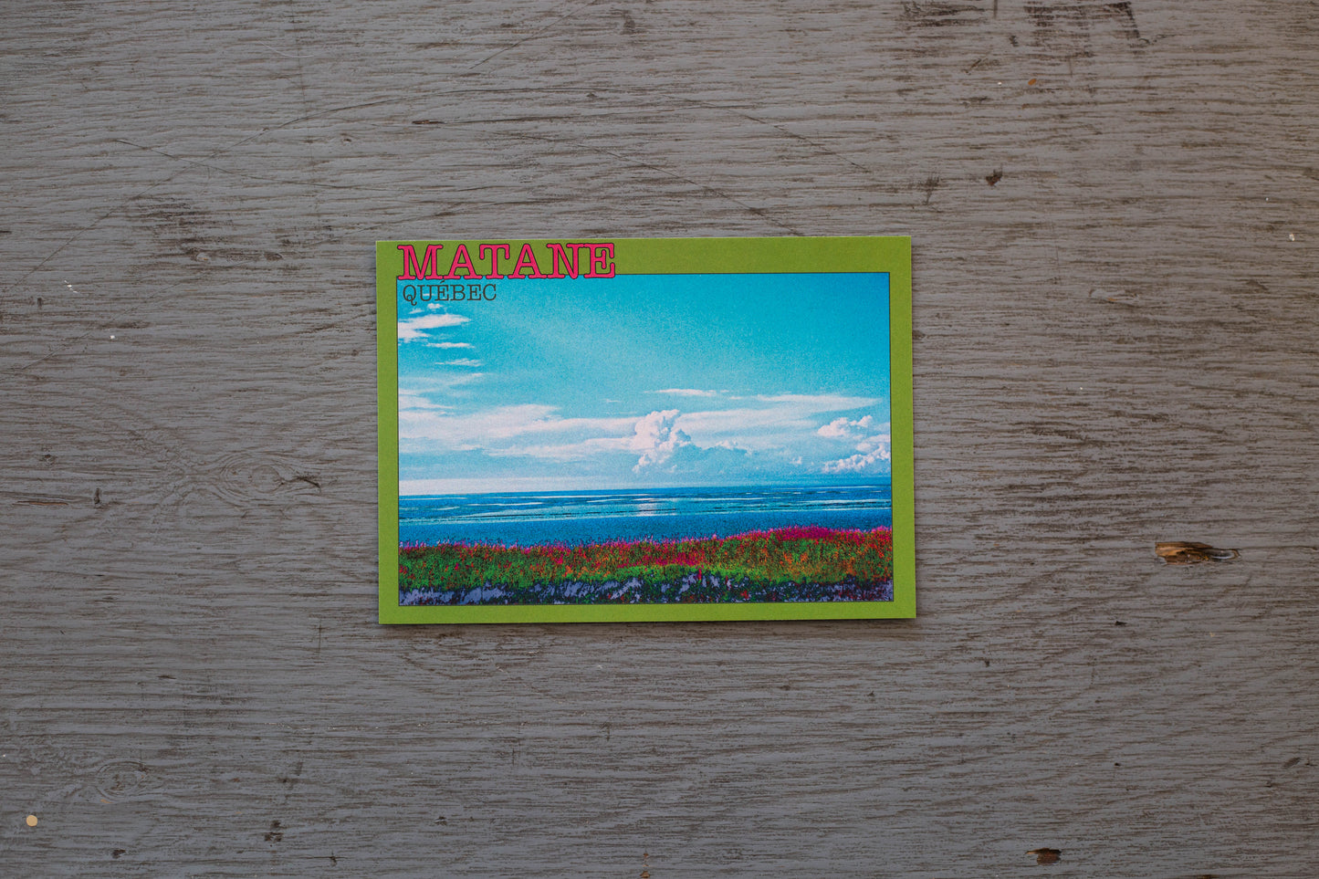 Carte Postale / Matane on contemple