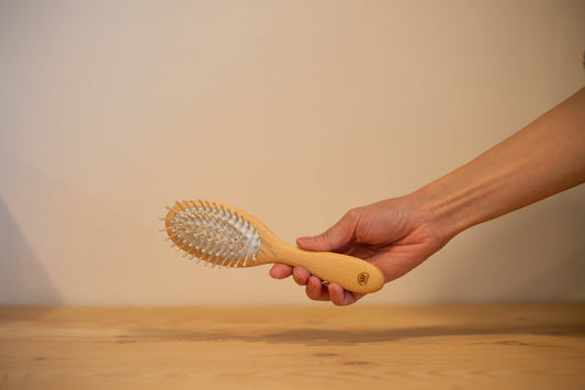 Brosse à cheveux ovale petite