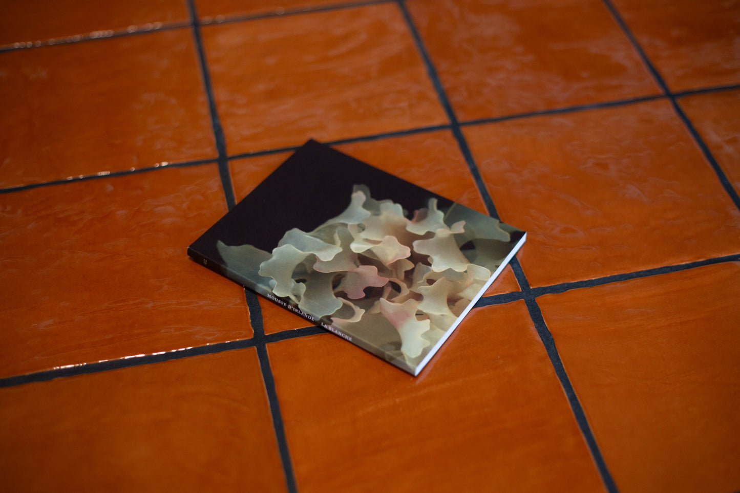 Mini-Carnet Série Mousses d'Irlande No.2 La Blanche Raoul & Simone