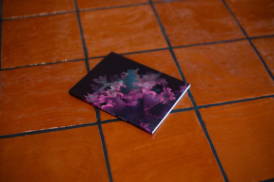 Mini-Carnet Série Mousses d'Irlande No.4 La Bleue Raoul & Simone