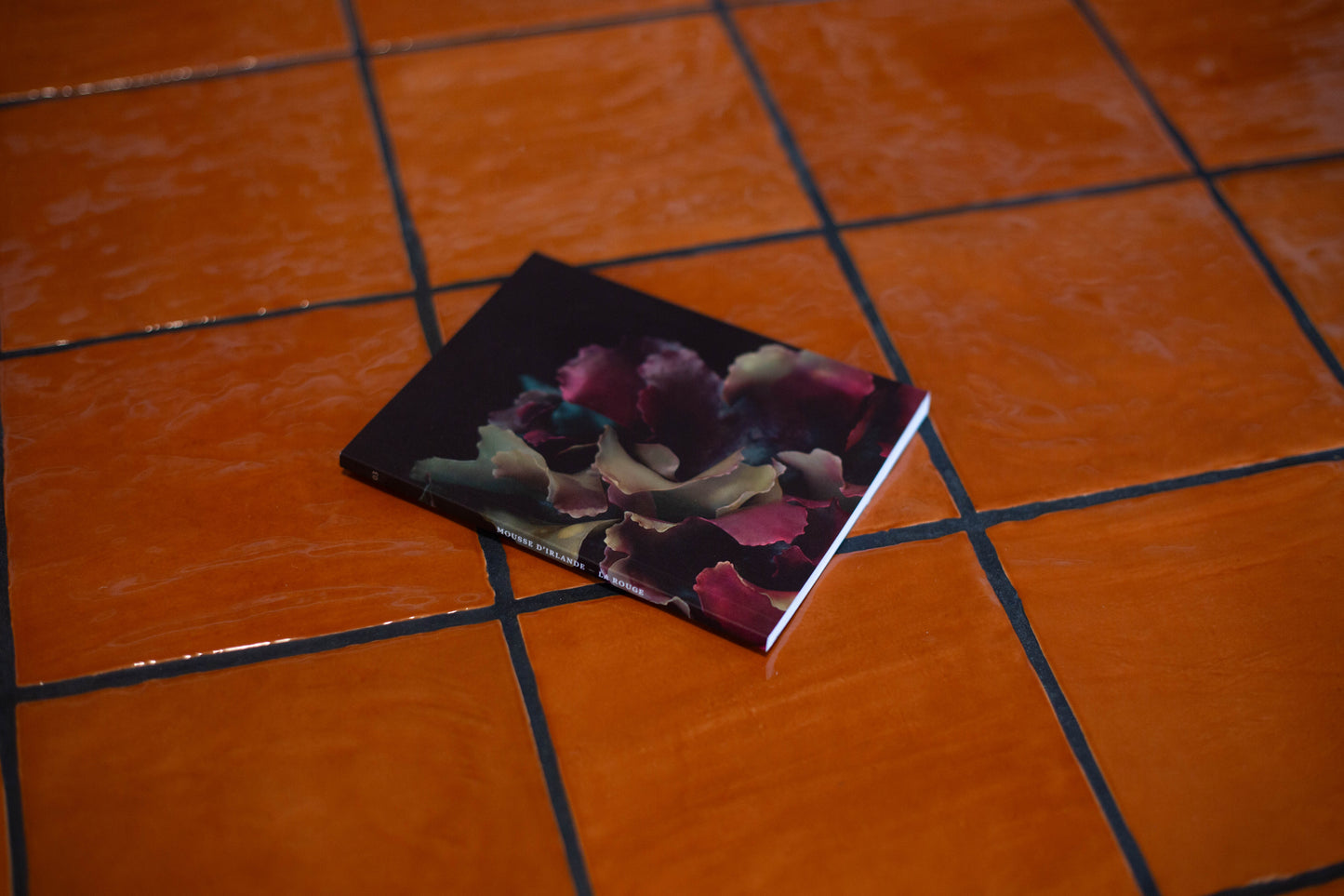 Mini-Carnet Série Mousses d'Irlande No.3 La Rouge Raoul & Simone