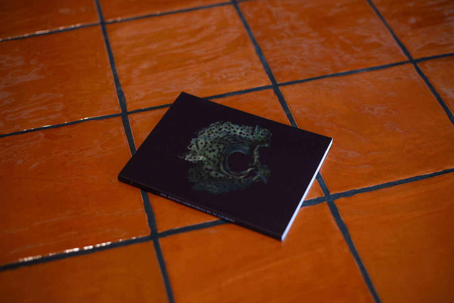 Mini-Carnet Agar Criblé Raoul & Simone