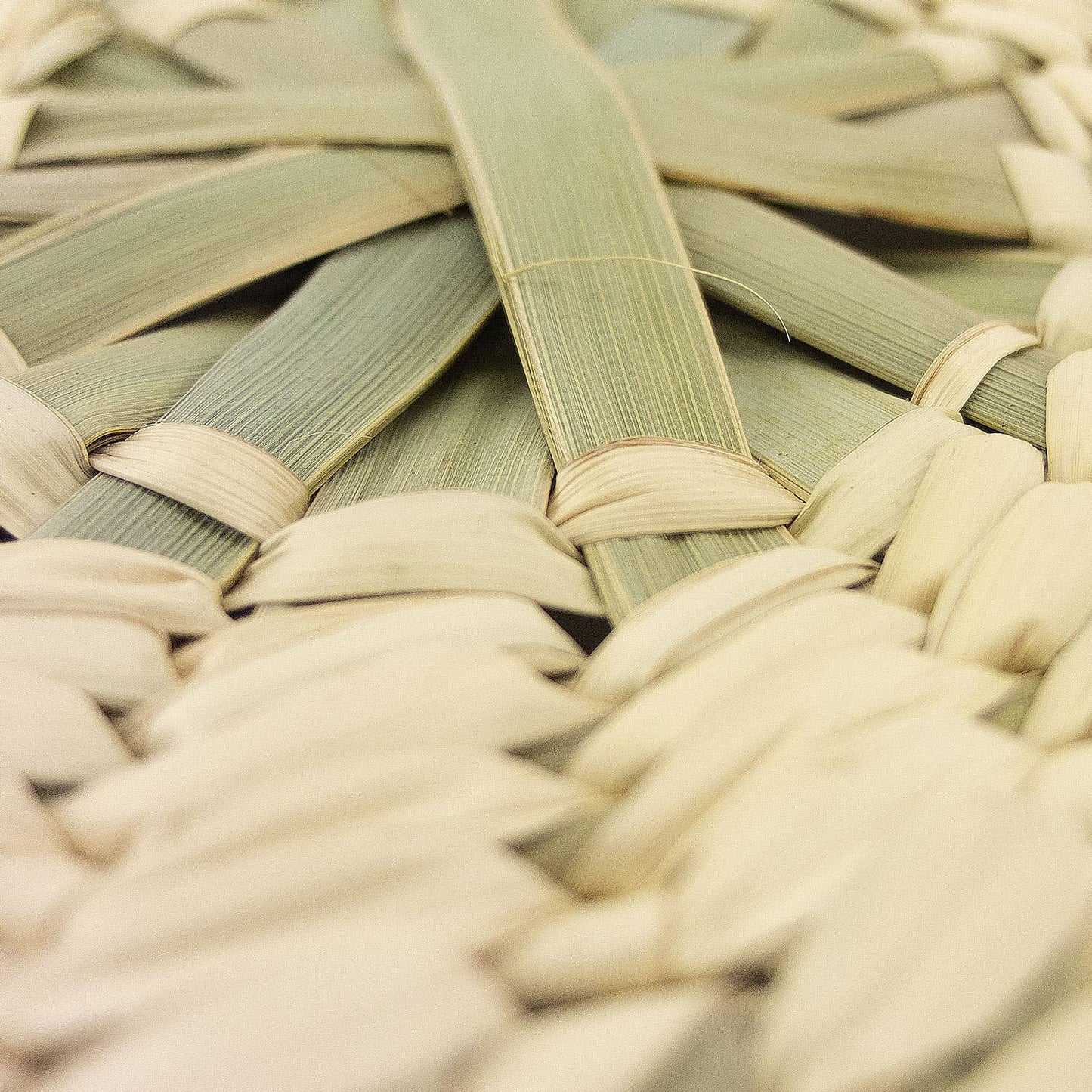 Éventail rond artisanal en feuille de palmier