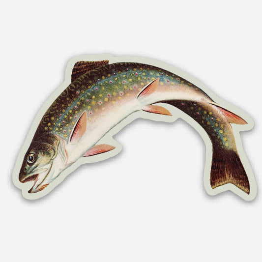 Autocollant Truite arc-en-ciel