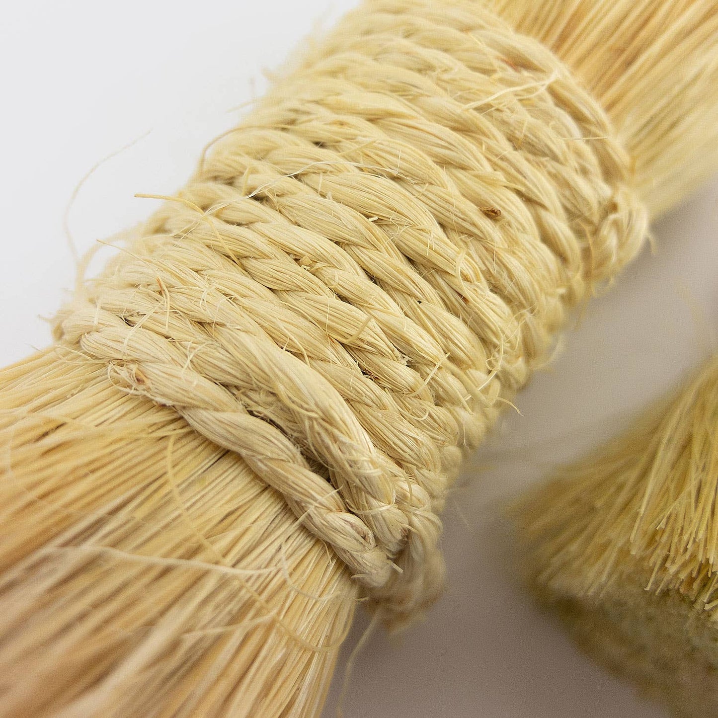 Petite brosse ronde mexicaine