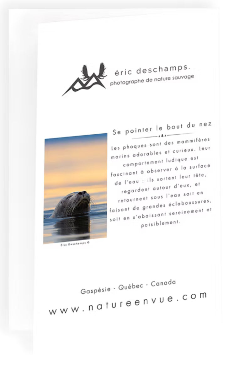 Carte Se Pointer le Bout du Nez